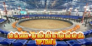 Sới gà Savan